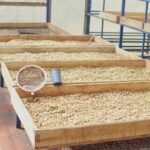 WhatsApp Image 2025-06-09 at 1.42.27 PM (1)