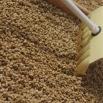 WhatsApp Image 2025-06-09 at 1.42.27 PM